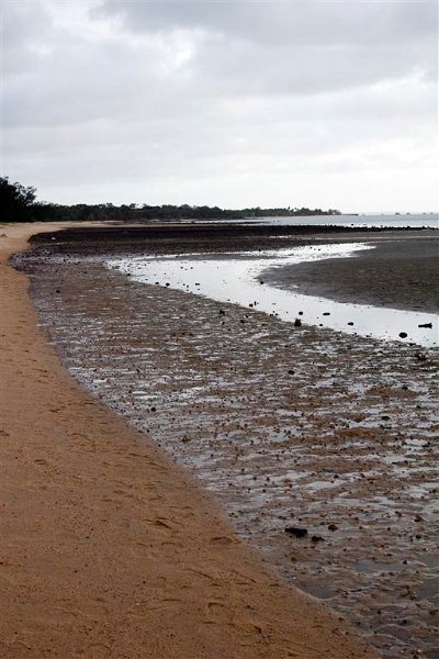 2823 Cape York 550D Aug11 (Medium).jpg